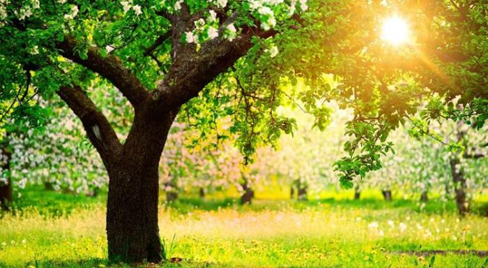 基金賺賠怎麼算?