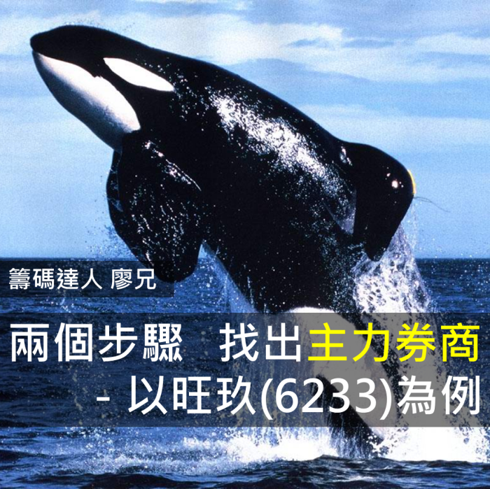 2步驟  找出主力券商－以旺玖(6233)為例