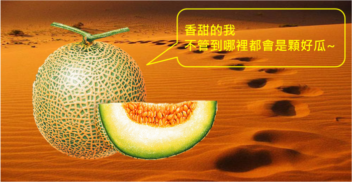 向巴菲特的投資老師學習這 6大祕訣,讓你不再錯過《非常潛力股》