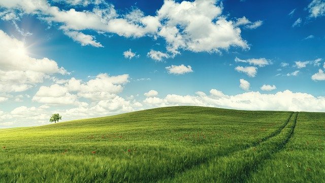 光寶科 (2301) 積極布局物聯網，第 1 季毛利創下 7 年新高 !