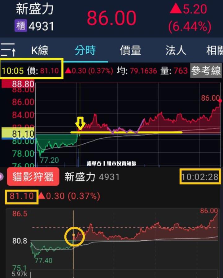 強空之下 多空操作新盛力求生存 貓影狩獵策略著助尋下手良標