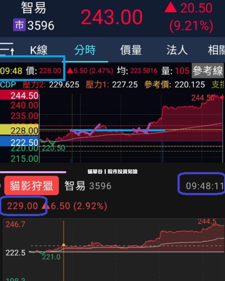川普一開口 市場就顫抖 趁空方趨勢 大空聯鈞補財庫 同場加碼！貓草谷銳抓智易飆漲股