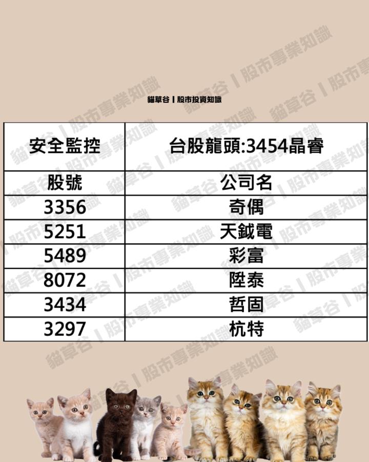 沖抓族群＝事半功倍 開盤掌握天鉞電攻漲停 看我安控族群怎麼打整排