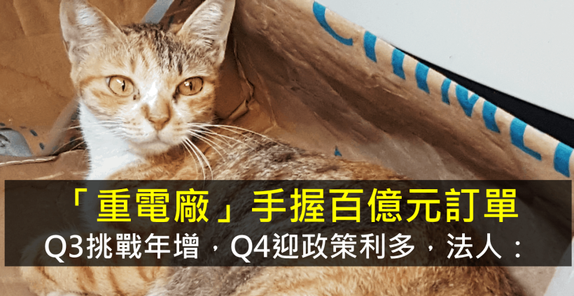 這間「重電廠」手握百億元訂單，10月迎政府政策利多，法人：年度營收將…