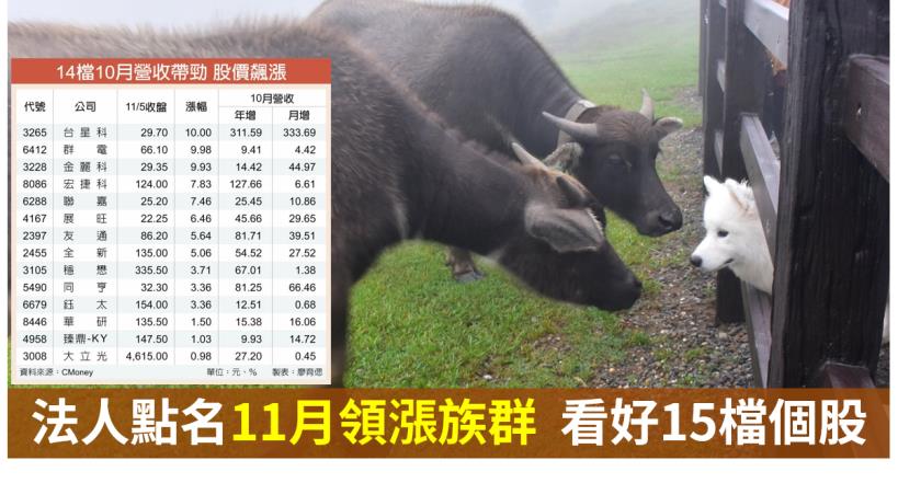 【籌碼K晨報】10月營收績優生陸續亮相！群電(6412)、台星科(3265)..等14檔成買盤新寵