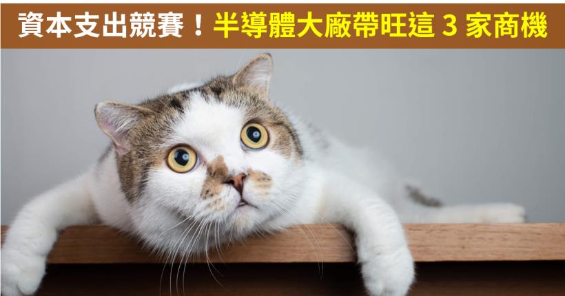 【籌碼K晨報】資本支出戰況空前！半導體大廠帶旺帆宣(6196)...等 3 家設備廠  後勢再添商機