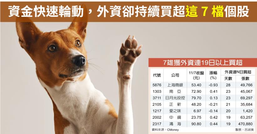 【籌碼K晨報】外資再創連19買紀錄！資金快速輪動，外資卻持續加碼這 7 檔個股