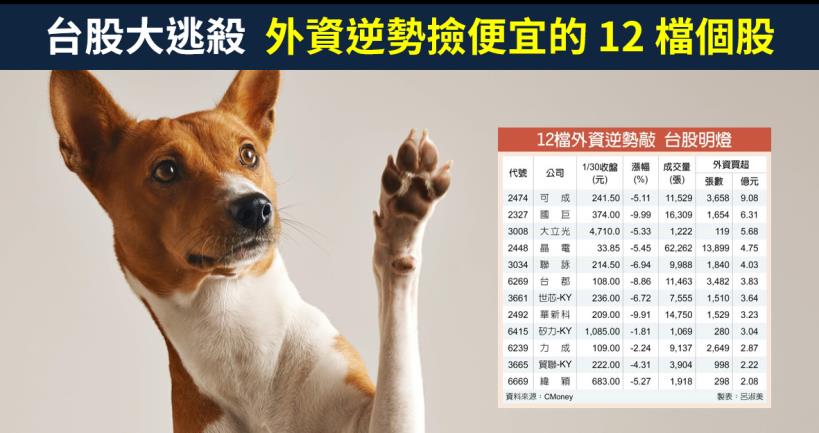 【籌碼K晨報】台股大逃殺，外資卻逆勢進場撿便宜的 12 檔個股，多數是這兩種概念股！
