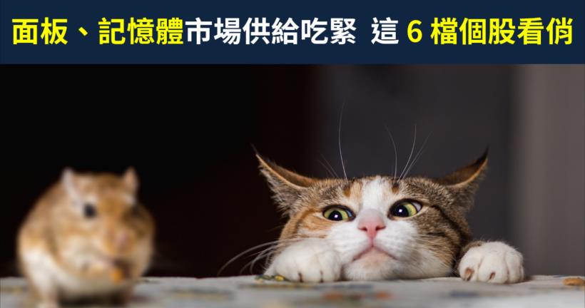 【籌碼K晨報】大陸疫情影響產能，面板、記憶體市場供給吃緊，帶旺台廠 6 檔相關個股