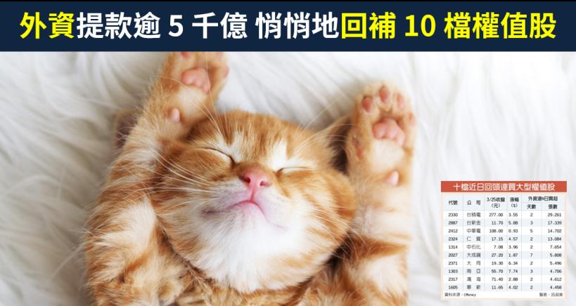 【籌碼K晨報】外資累計提款逾 5 千億，卻悄悄地回補萬張台積電(2330)..等 10 檔大型權值股