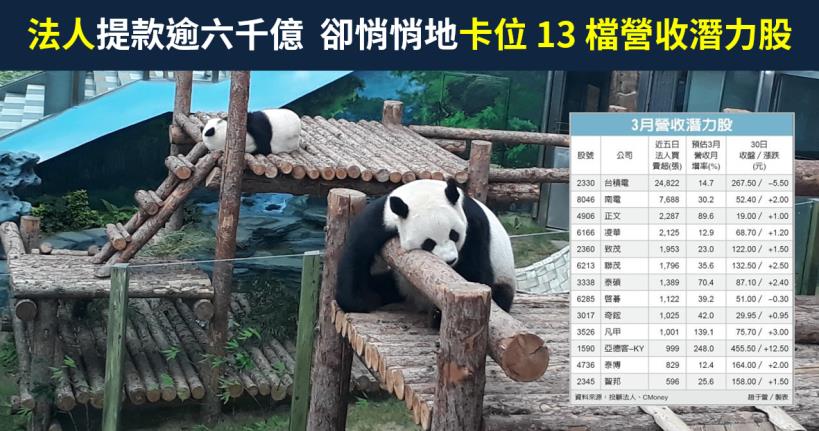 【籌碼K晨報】Q1 三大法人提款逾六千億，卻悄悄卡位南電(8046)..估 3 月營收有望雙位數成長