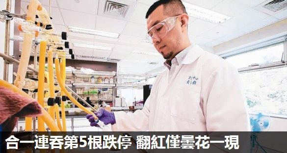 合一連吞第5根跌停 翻紅僅曇花一現