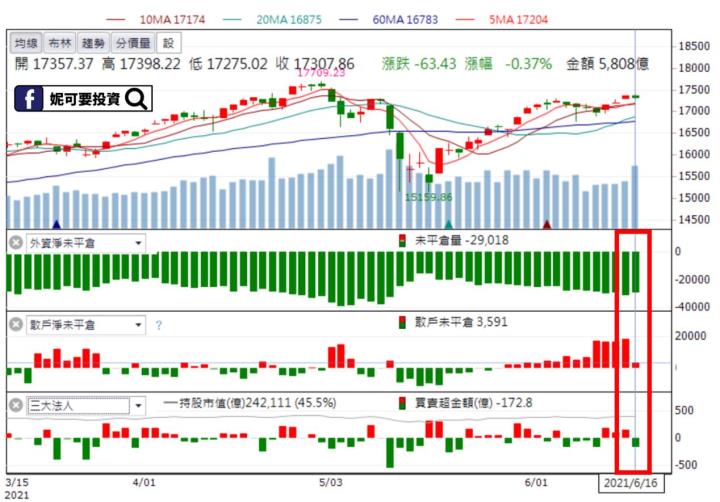 妮可籌碼日抱_0616盤後籌碼