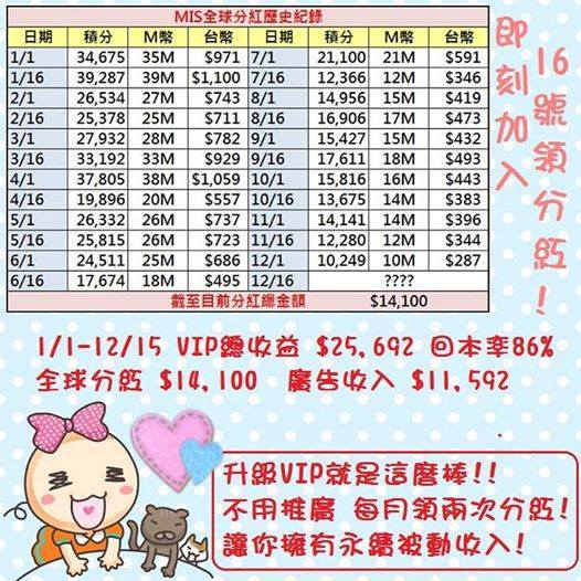 什麼是MIS網路自動收入系統?