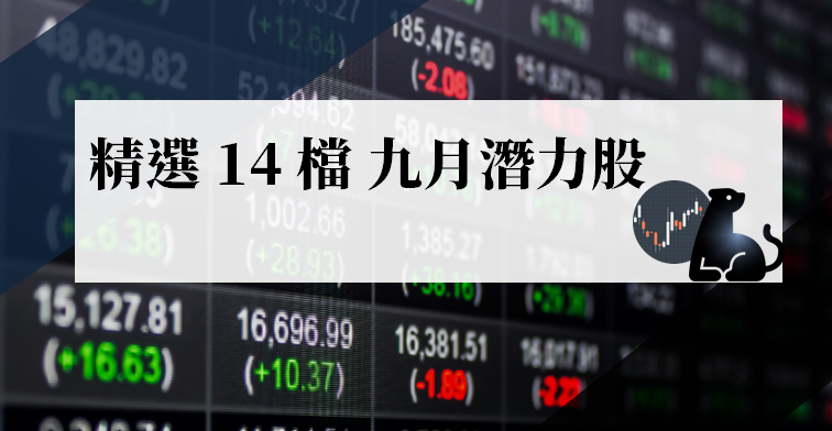 VIP 清單 : 精選 14 檔 九月潛力股 ! 其中一檔營收成長 37％，法人回補買盤將現 ?