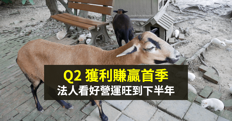 【籌碼K晨報】4、5 月賺贏首季！下半年不只「5G 題材」，也卡位 Mini LED 市場...