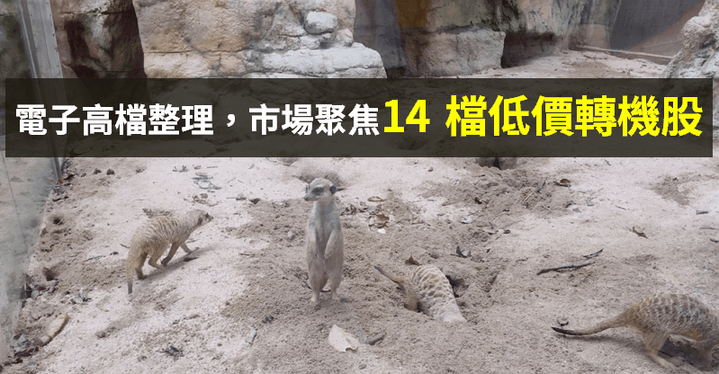 【籌碼K晨報】台股萬三關卡 電子股休息，資金流向傳產 →「14 檔低價轉機股」成焦點...