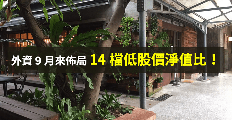 【籌碼K晨報】新台幣強升 → 資金行情仍在，外資佈局 14 檔低「股價淨值比」！每檔不超過百元...