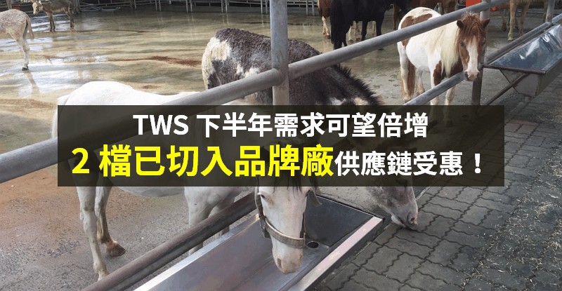 【籌碼K晨報】TWS 下半年回溫！各大品牌搶攻印度市場，2 檔供應鏈可望爆發？