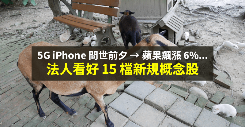 【籌碼K晨報】5G iPhone 明天問世，蘋果先漲逾 6％！法人看旺「15 檔新規受惠台廠」...