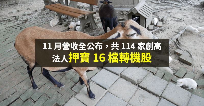 【籌碼K晨報】11 月營收全數公布，114 家創新高！法人押寶「16 檔轉機股」...