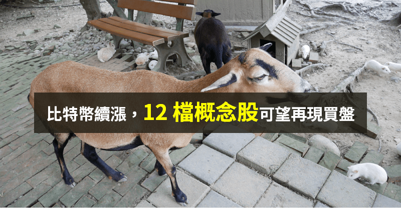 【籌碼K晨報】比特幣休息後續揚！「12 檔概念股」可望再現買盤，撼訊、技嘉領頭...