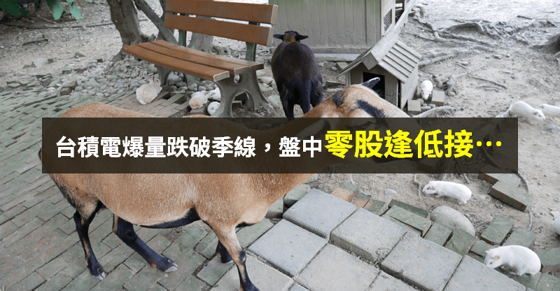 【籌碼K晨報】台積電帶量跌，盤中零股爆 698 萬量 → 點名「10 檔零股買盤重點」...