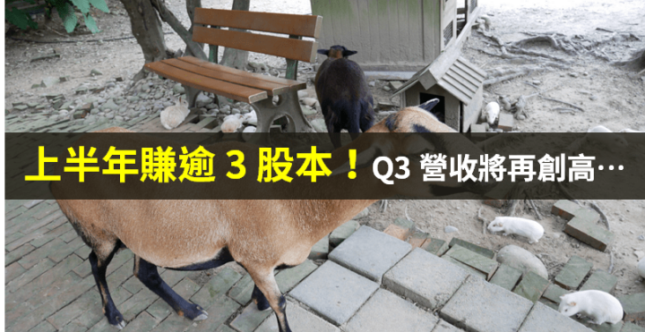 【籌碼K晨報】上半年大賺 → 「獲利超過 3 個股本」，Q3 營收還要再創高！