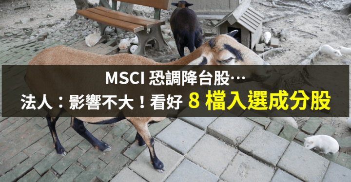 【籌碼K晨報】MSCI 本週調整，台股恐小幅調降，法人：影響不大 → 看好 8 檔可望入選成分股...