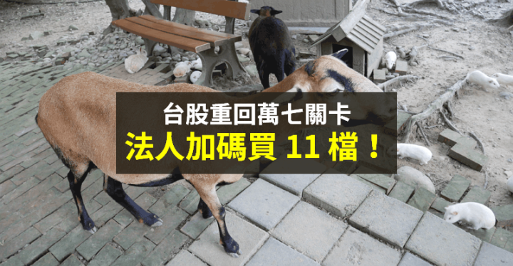 【籌碼K晨報】四大利多助台股 → 電子重返主流，法人加碼買 11 檔！