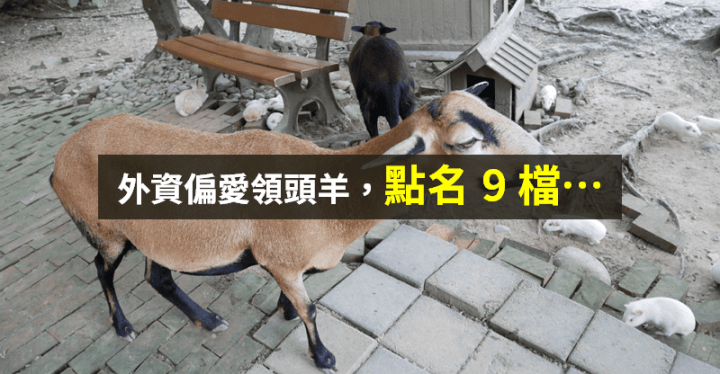 【籌碼K晨報】財報陸續公布！外資卡位年底行情 → 點名、升評「9 檔領頭羊」...