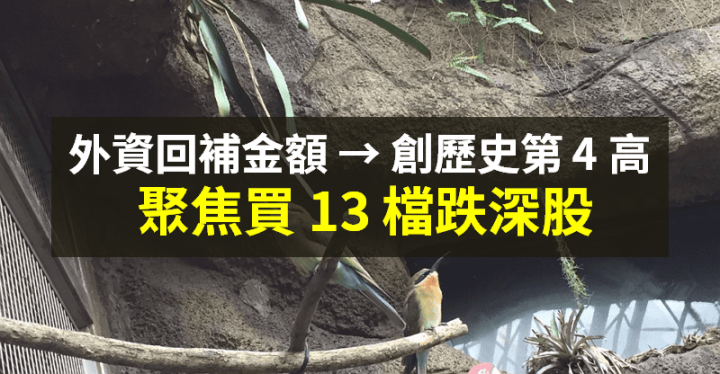 【籌碼K晨報】外資回補 448 億元！聚焦買「13 檔跌深績優股」，法人最看好一族群反彈...