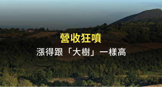 營收狂噴，漲得跟「大樹」一樣高
