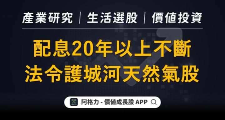 配息20年以上不斷，法令護城河天然氣股
