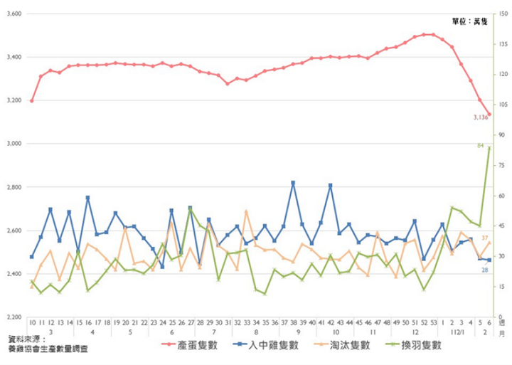 蛋價上漲又缺蛋，卜蜂與大成受惠解析！