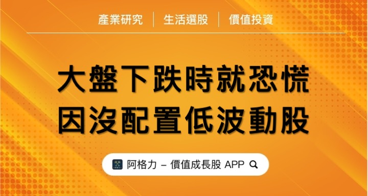 大盤下跌時就恐慌，因沒配置低波動股。