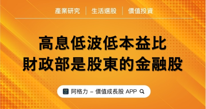 高息低波低本益比，財政部是股東，隱藏冠軍再保險公司！