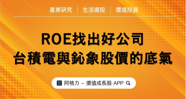 ROE選股，台積電為什麼比聯電強？鈊象ROE超高！