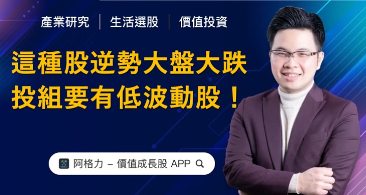 這種股逆勢大盤大跌，投資組合要有低波動股！