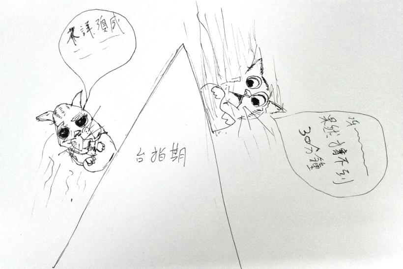 開高走低.雲霄飛車.每天一根台製避雷針