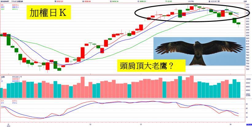 面板女王還沒來，股價就先漲了！不過這次的主角換人了，因為他的「大戶持股比例」一直升...