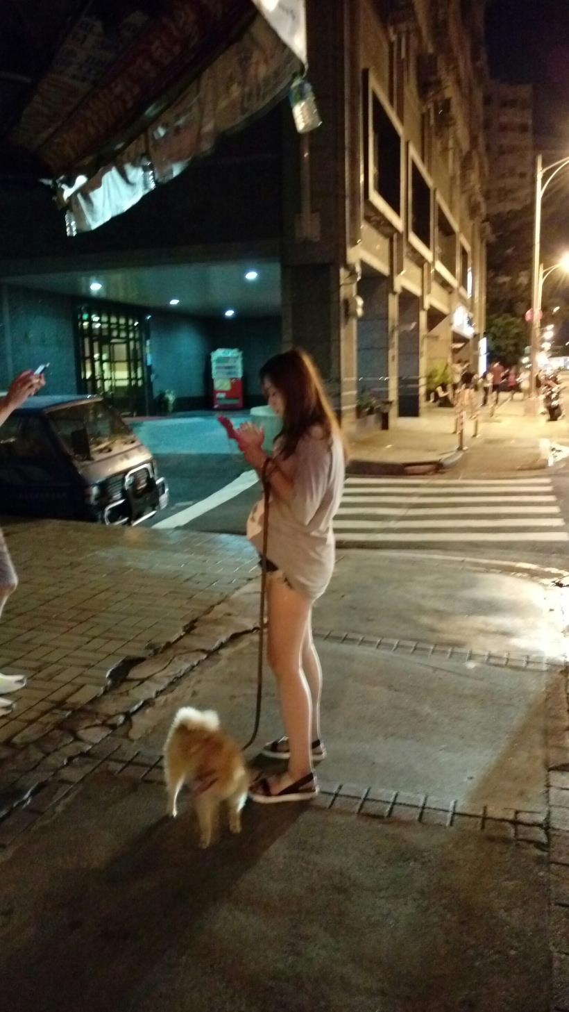 你抓到「寶」了嗎？網友瘋傳這 3 條公車路線最好抓...(內附 28 檔寶可夢概念股清單)