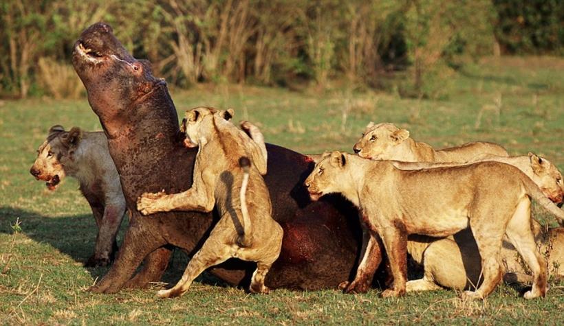 《我的職業是股東》讀後心得　一個隱世投資者的誠懇告白