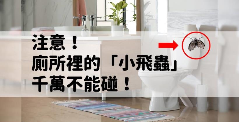 廁所 蟲