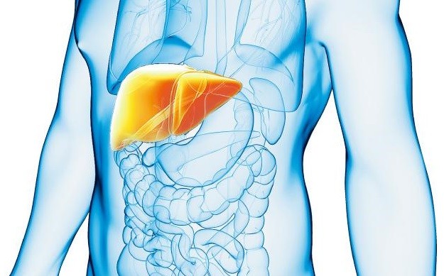 四個小技巧，教你如何遠離乙肝！