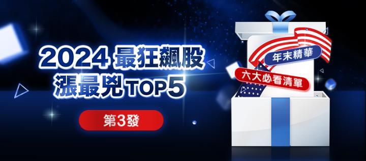 2024 年度飆股榜首狂漲 341％！輝達被狠甩在後 (TOP5 榜單公開)