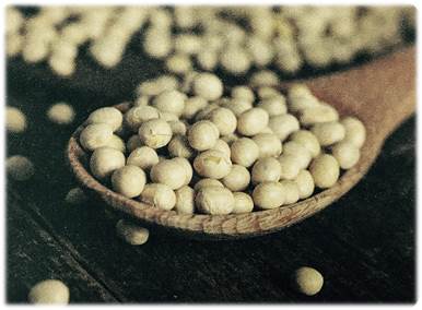 聞空氣、喝口水都會胖的人有救了！ 照這樣吃....健康享「瘦」一輩子！