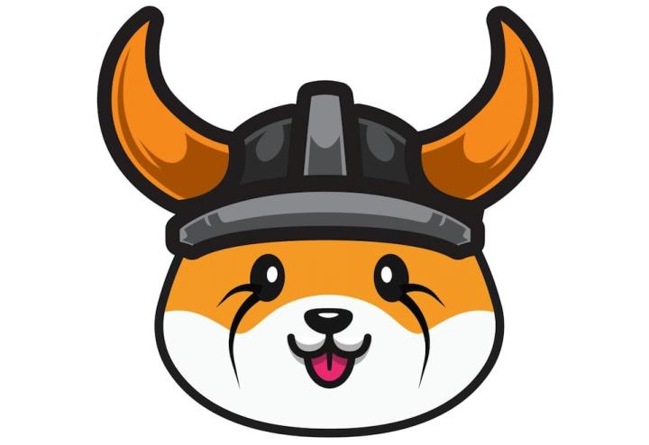 柴犬幣 FLOKI INU 通過幣安智能鏈擴展 估值上看百億美金