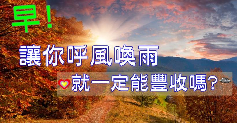 【豐盛人生】豐收的條件