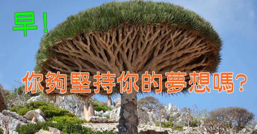 【豐盛人生】堅持